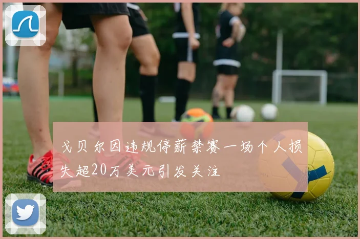 戈贝尔因违规停薪禁赛一场个人损失超20万美元引发关注