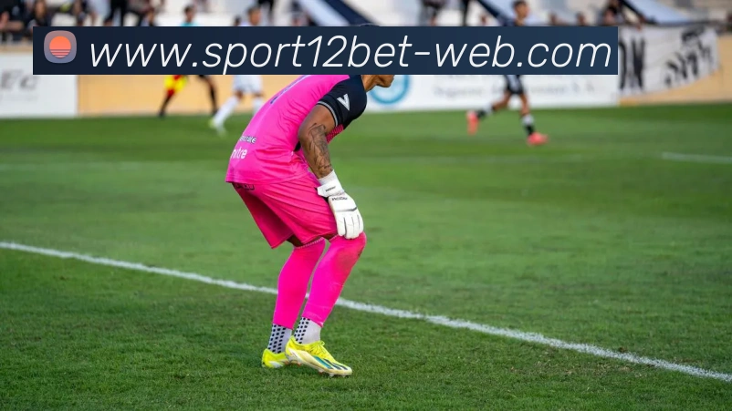 12bet平台生态图